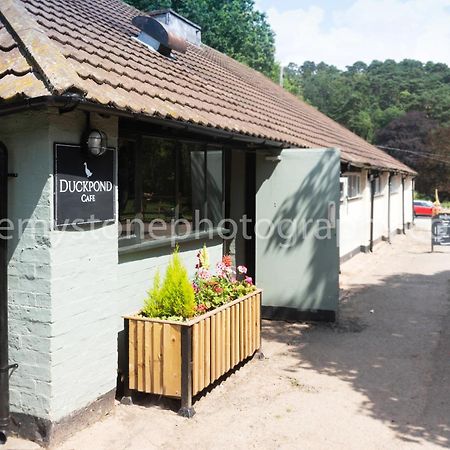 伯明翰玫瑰与皇宫老酒店 鲁贝里 外观 照片